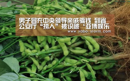 亚博官网
