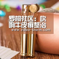罗桐社区:吹响牛皮癣整治的号角_亚博(图1) 亚博官网