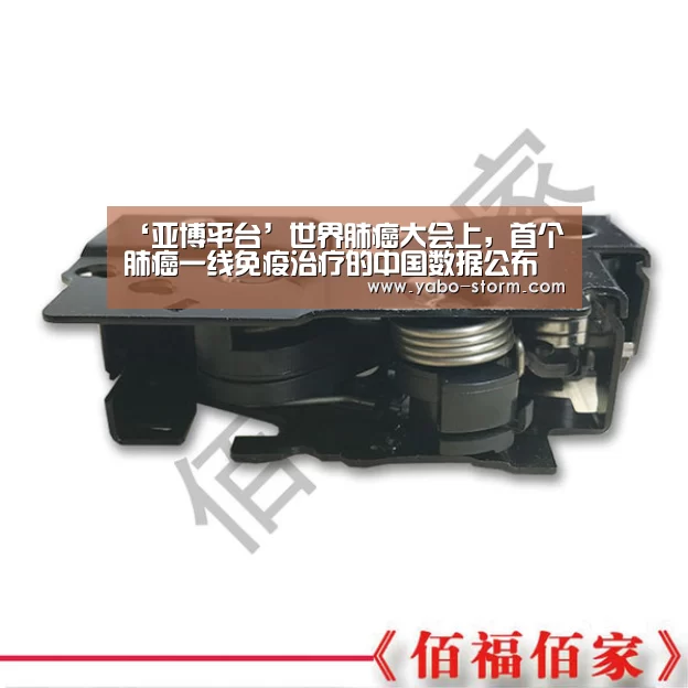 ‘亚博平台’世界肺癌大会上,首个肺癌一线免疫治疗的中国数据公布(图2) 亚博