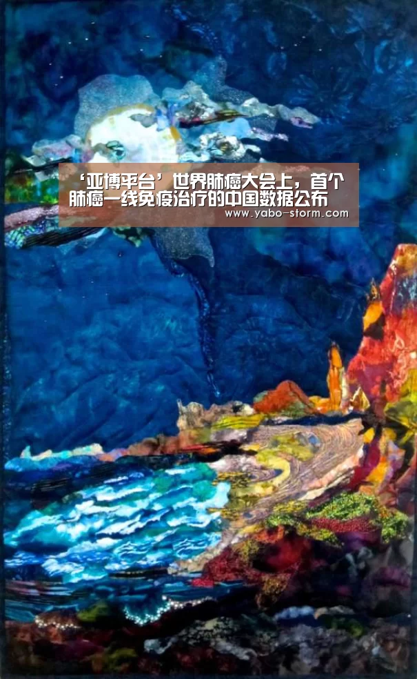 ‘亚博平台’世界肺癌大会上,首个肺癌一线免疫治疗的中国数据公布(图3) 亚博