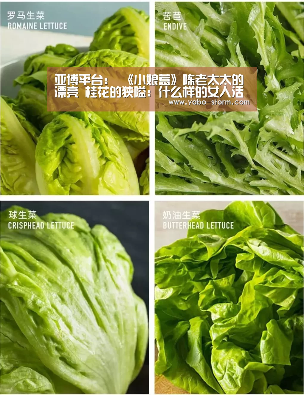 亚博平台:
《小娘惹》陈老太太的漂亮 桂花的狭隘:什么样的女人活得幸福(图1) 亚博娱乐