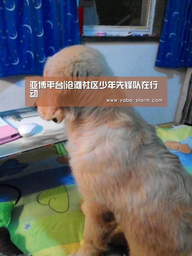 亚博平台|沧滩社区少年先锋队在行动(图2) 亚博娱乐